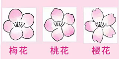 一O三采集到待采集