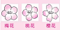 区分梅花、桃花和樱花_花瓣
