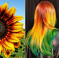 Hairdresser Is Inspired By Nature To Create Colored Hair And The Result Is Incredible