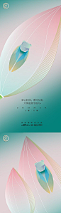 【南门网】 海报 地产 二十四节气 小暑 大暑 简约 蝉 知了 荷花 创意 281726