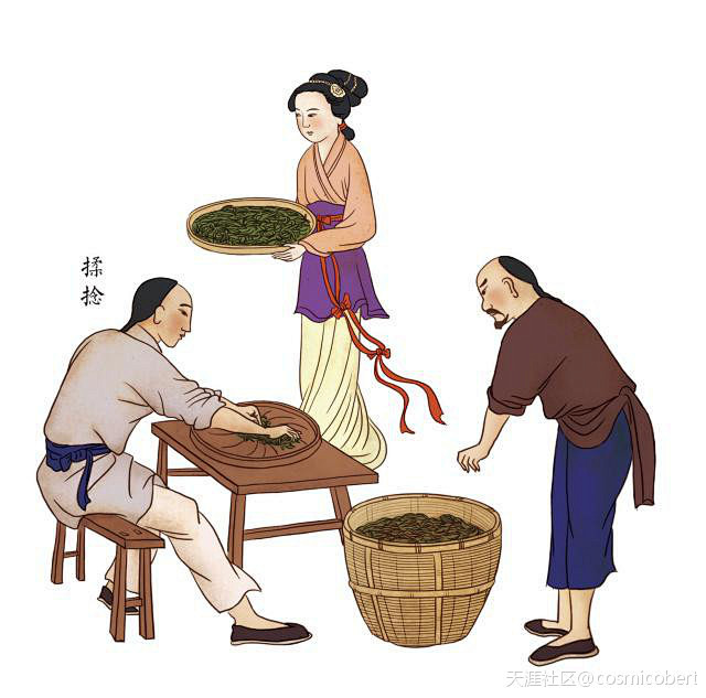 手绘漫画：祁门红茶制作工艺(转载)_诚信...