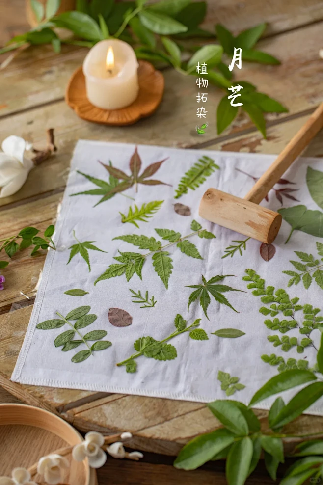 花瓣网 - 灵感之源，花瓣之间（创意图片大全、设计灵感图库、高清图片素材）