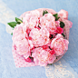 02181659_54e44676608ec.jpg (500×500)#花束