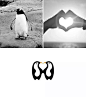 企鹅爱心logo