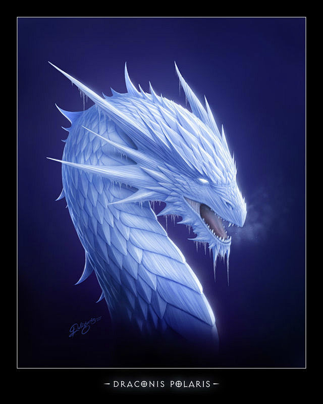 常见西方龙介绍看图西方巨龙吧百度贴吧