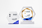 design visual design graphic design  Awards