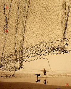 ziye2012采集到摄影