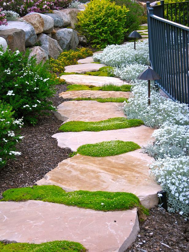 40 Beautiful Paths a...