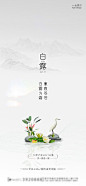 白露节气海报