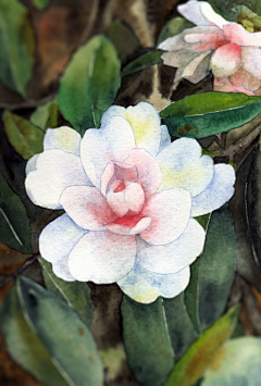 伱一贱俄就笑采集到插画