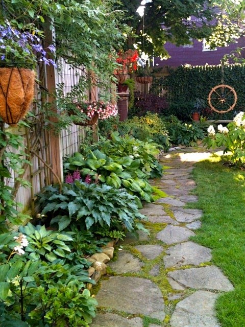 shady side of house ...