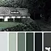 Design Seeds Color Palettes.