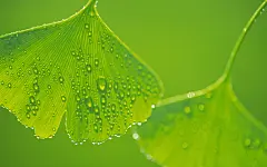 水珠壁纸下载 - 精品桌面壁纸分享平台 - 搜狗壁纸