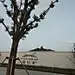 采集图片