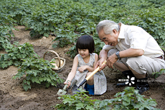 付LLLLLL采集到现代农业