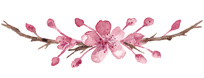 植物素材png