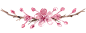 植物素材png