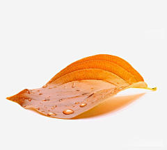斗鱼UI小敏采集到素材