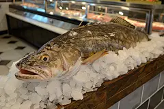 海产品食材法国银鳕鱼