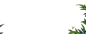 《梦幻西游》手游蓬莱奇谈第二季_《梦幻西游》手游官网