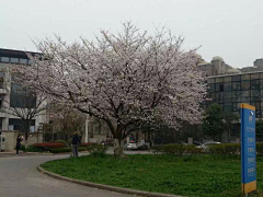 水岸山居采集到盆景