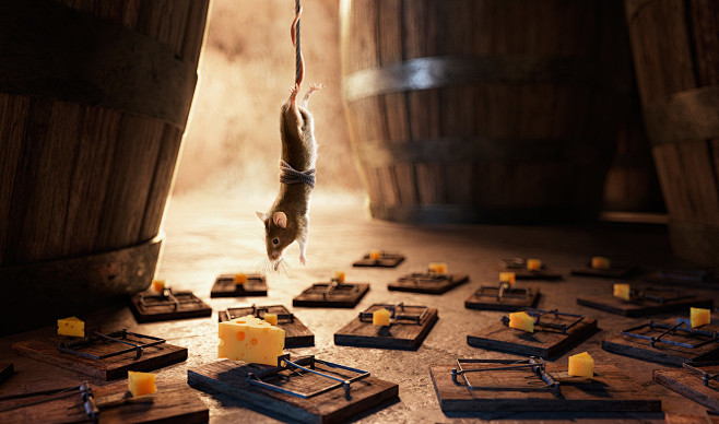 Mouse Traps "ABOVE" ...