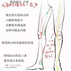 搜尽奇峰采集到手脚等局部