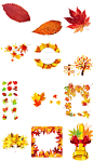 秋天金色枫叶落叶复古金秋叶子png免抠图片PS平面设计素材-2