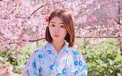 甜美和服美女樱花树下唯美写真桌面壁纸