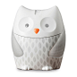 Skip Hop Nightlight Soother Moonlight & Melodies Owl