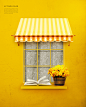 黄色墙壁 金色小窗 书本 金菊 金色秋季海报设计PSD ti375a9702