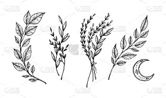 手绘矢量复古元素(月桂，框架，叶子，花，漩涡，羽毛)。野生和自由。完美的邀请，贺卡，引用，博客，海报