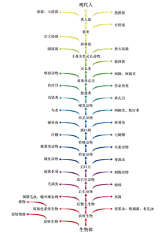 草莓西瓜汁采集到科学