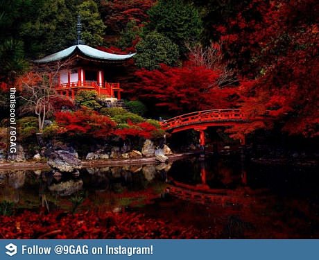 Kyoto, Japan. No Pho...