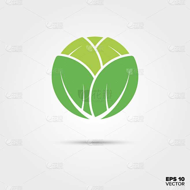 白菜蔬菜矢量图标