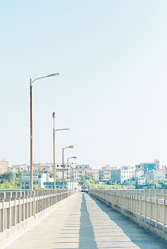 松醪苦醁采集到背景