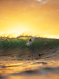 冲浪
surf4living:

gabs at pipe with the sunset in his back
ph: corey wilson
