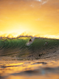 冲浪
surf4living:

gabs at pipe with the sunset in his back
ph: corey wilson