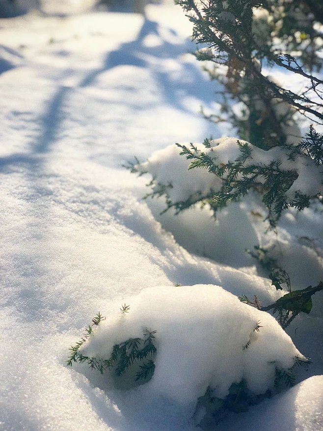 初雪的快乐❄️❄️❄️