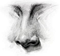 Nose Drawing, How to Draw a Nose - How to Draw Noses - Step by Step, -tutorial with thanks to proko, How to draw Face, Resources for Art Students , CAPI ::: Create Art Portfolio Ideas at milliande.com, Art School Portfolio Work