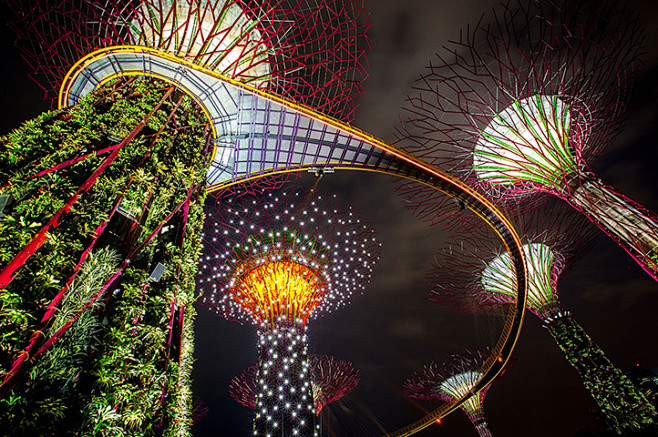 火树银花：新加坡滨海湾花园（Gardens by the Bay），巨树丛林（Supertree Grove）在“声光秀”（Light and ...