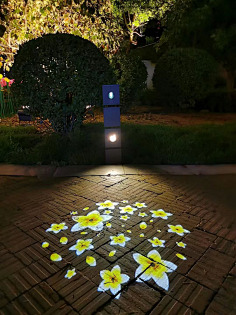 惟醺0℉的采集_花瓣网