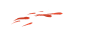 鱼