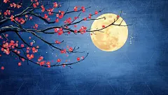 中秋唯美宽屏壁纸高清模板免费下载-趣麦麦图