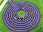 Lavender Labyrinth - Can you just imagine how delicious the air smells standing in the center!