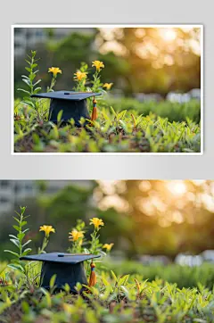 AI数字艺术毕业证图片