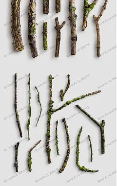 TB2sUJDlHBmpuFjSZFuXXaG XXa !!3029643159 - 落叶树叶子树枝落叶高清平铺摄影图展示样机海报合成免抠psd素材