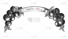 番茄品牌设计为产品标签手绘复古雕刻风格黑白剪辑艺术孤立在白色背景2