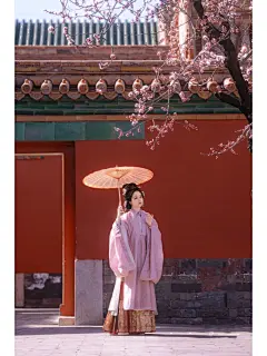 宫里的杏花开了，又谢了。