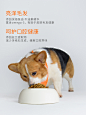 Toptrees/领先小型通用型成犬泰迪比熊柯基法斗天然原肉狗粮1.5kg-tmall.com天猫